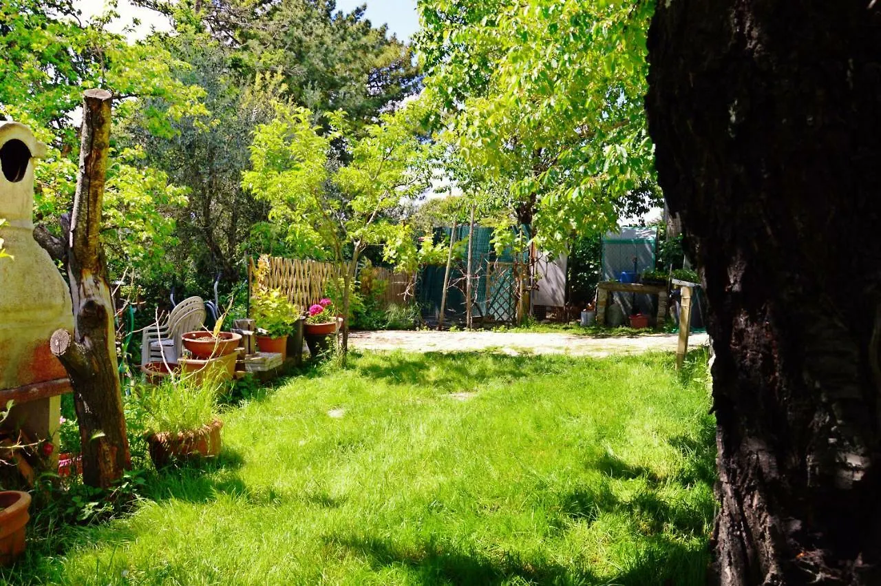 Apartment Appartamenti Tortorella Pelago